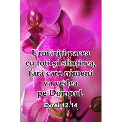 Sticker, Urmariti pacea- cu orhidee